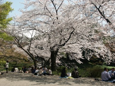 Korakuen Garden - Tsutenkyo Bridge