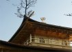 The Phoenix, Kinkakuji, Kyoto