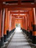 Torii gate 2